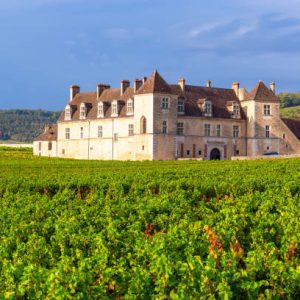 Château Vélo Vino en Côte de Nuits (Départ Nuits-Saint-Georges)